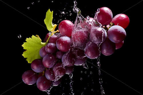 A grape on a black background with splashes of water - Starpik Stock