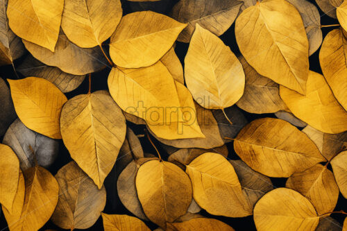 A pattern of yellow leaves - Starpik Stock
