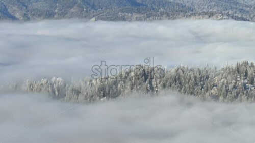 Aerial drone view of winter mountains with fog in Ceahlau National Park, Romania - Starpik Stock