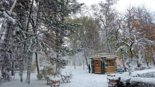 Chisinau, Moldova – November 23, 2023: Heavy snow in central park near Bonjour coffee shop cinematic - Starpik Stock