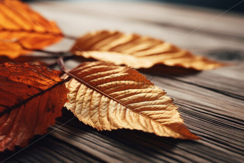 Dry yellow leaves on a wooden table - Starpik Stock