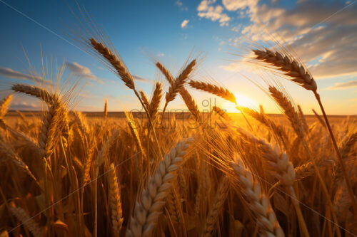 Generative AI ears of wheat on a nearby field - Starpik Stock