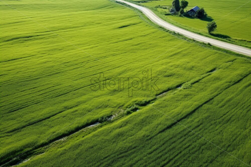 Green agricultural lands seen from the height of the bird’s flight - Starpik Stock