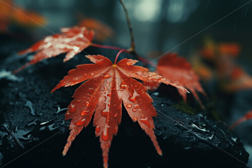 Some autumn yellow leaves, in a rainy day with water drops on them - Starpik Stock