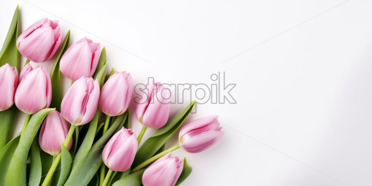 Top view pink tulips on isolated white background. Mother's day concept - Starpik Stock