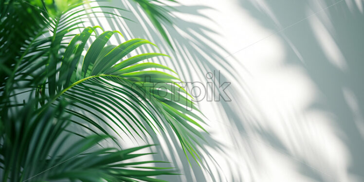 Tropical palm leaves shadow on white background  - Starpik Stock