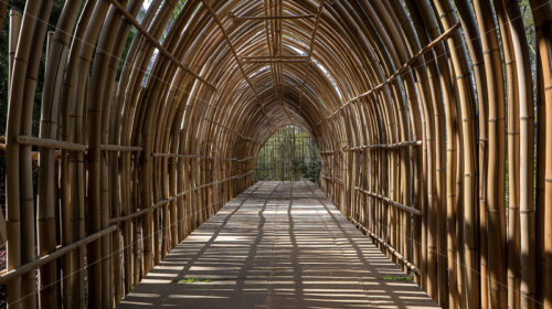 BambooCraft Pavilion - Starpik Stock