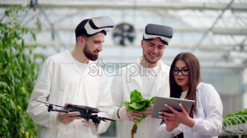 Video Three laboratory technicians in white coats wearing Virtual Reality headsets, holding a drone and a tablet, analysing lettuce grown with the Hydroponic method in a greenhouse - Starpik Stock