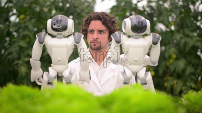 VIDEO Laboratory technician in a white coat interacting with two humanoid robots near different types of lettuce in a greenhouse farm - Starpik