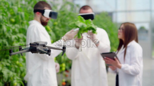 Video Drone filming three laboratory technicians in white coats wearing Virtual Reality headset, working with plants grown with the Hydroponic method in a greenhouse - Starpik Stock