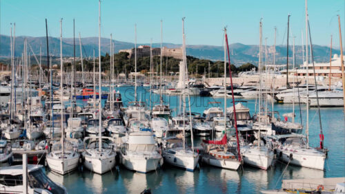 Video Cannes, France – November 4, 2024: View of palm trees in front of the Carlton Hotel on the coast of the city - Starpik Stock