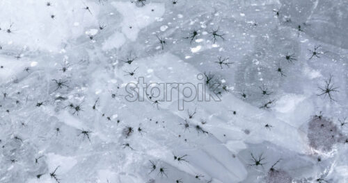 Aerial drone view of the Toblacher See lake frozen in the municipality of Toblach in South Tyrol, Italy - Starpik Stock