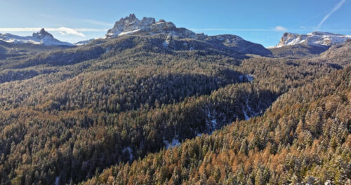 Aerial drone view of trees on the mountains in the Dolomites, Italy - Starpik Stock