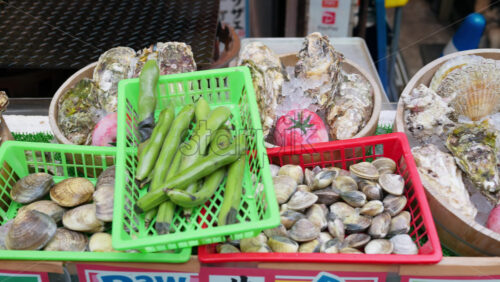Different types of seashells on ice at the Tsukiji Fish Market in Japan - Starpik Stock