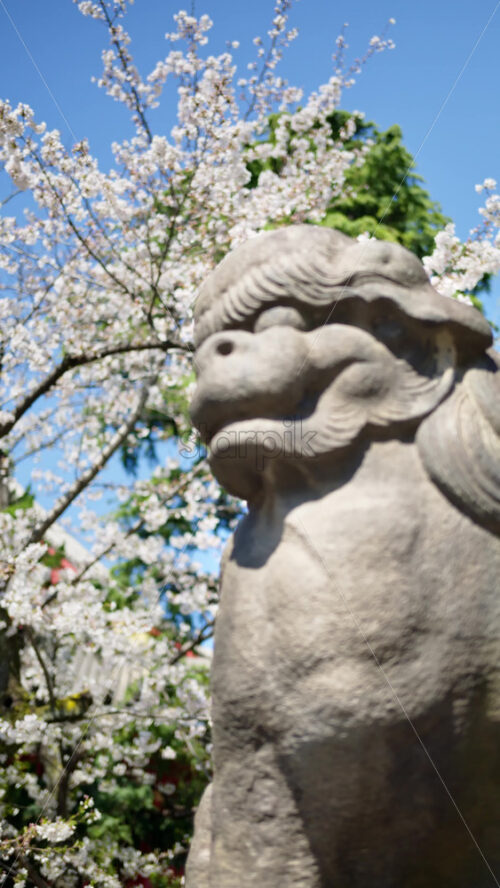 Stone sculpture at the Senso-ji temple in daylight in Asakusa, Japan. Vertical - Starpik Stock
