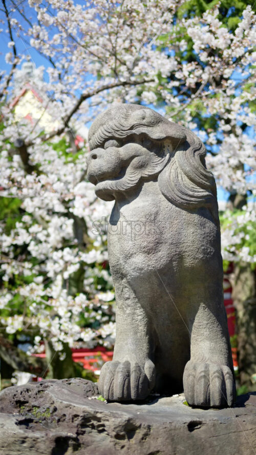Stone sculpture at the Senso-ji temple in daylight in Asakusa, Japan. Vertical - Starpik Stock