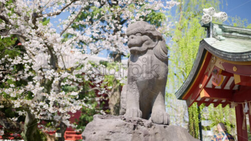 Stone sculpture at the Senso-ji temple in daylight in Tokyo, Japan - Starpik Stock
