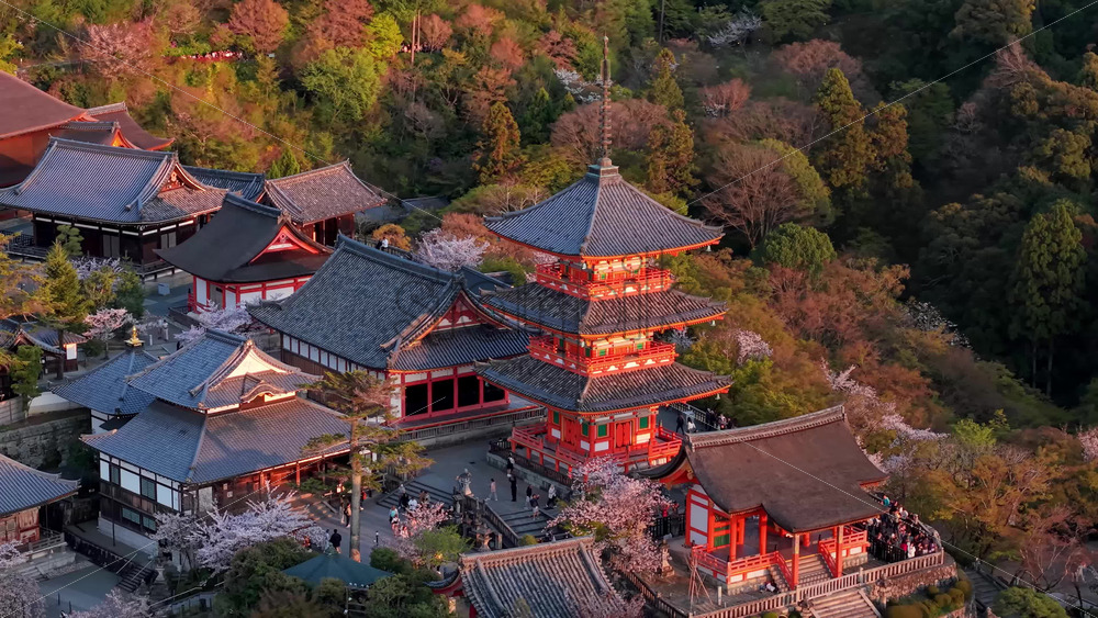 Video Kyoto, Japan – April 24, 2025: Aerial drone view of the Kiyomizu-dera temple at sunset - Starpik Stock