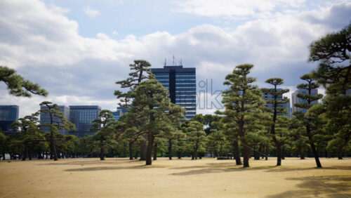 View of the Kokyo Gaien National Garden in Chiyoda, Tokyo, Japan - Starpik Stock