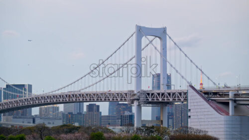 View of the Rainbow Bridge and the skyline of Tokyo, Japan on a cloudy day - Starpik Stock