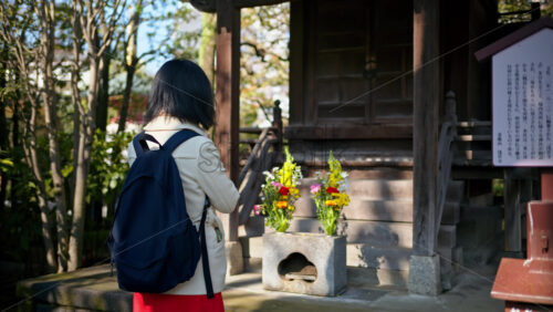 Woman praying near a wooden informational sign with a blurred background at the Senso-ji temple in Asakusa, Tokyo, Japan - Starpik Stock