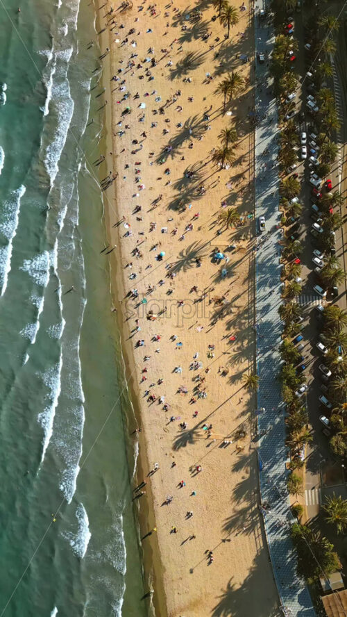 Aerial drone view of cars moving along the coastline with people relaxing on the beach in Alicante, Spain in daylight. Vertical - Starpik Stock