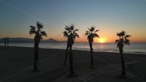 Aerial drone view of palm trees on the beach in Alicante, Spain at sunset - Starpik Stock