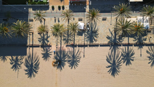 Aerial drone view of people walking on a promenade lined with palm trees near the beach in Alicante, Spain - Starpik Stock