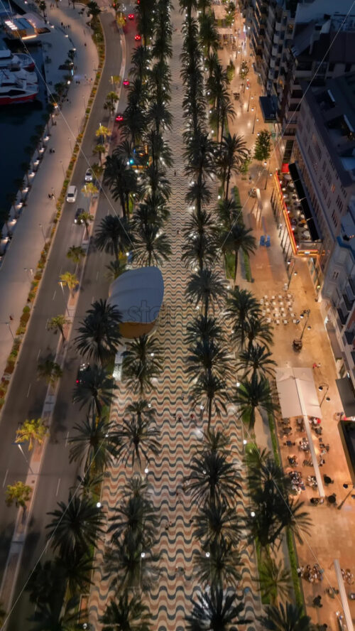 Aerial drone view of people walking on a promenade lined with palm trees near the beach in Alicante, Spain in the evening. Vertical - Starpik Stock