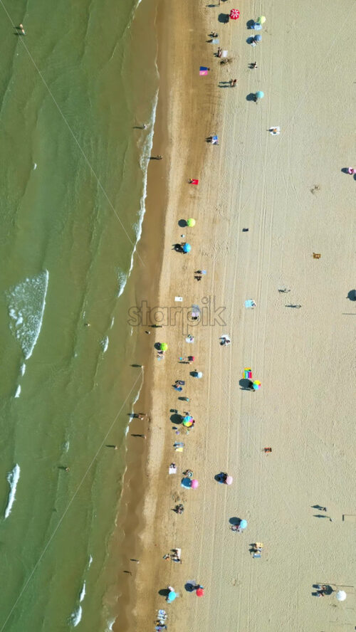 Aerial drone view of people walking on a promenade lined with palm trees near the beach in Alicante, Spain. Vertical - Starpik Stock