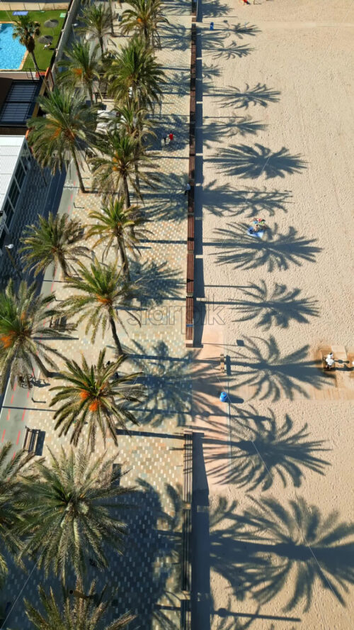 Aerial drone view of people walking on a promenade lined with palm trees near the beach in Alicante, Spain. Vertical - Starpik Stock
