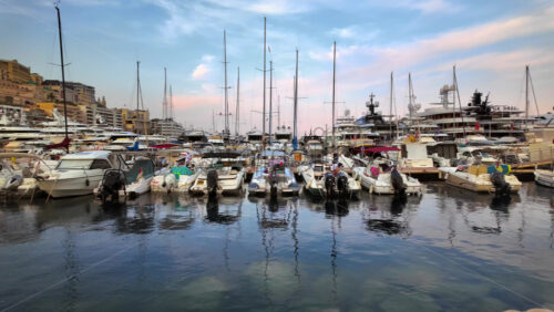 Video - View of white boats docked in the Monaco Marina with the skyline of the city on the background