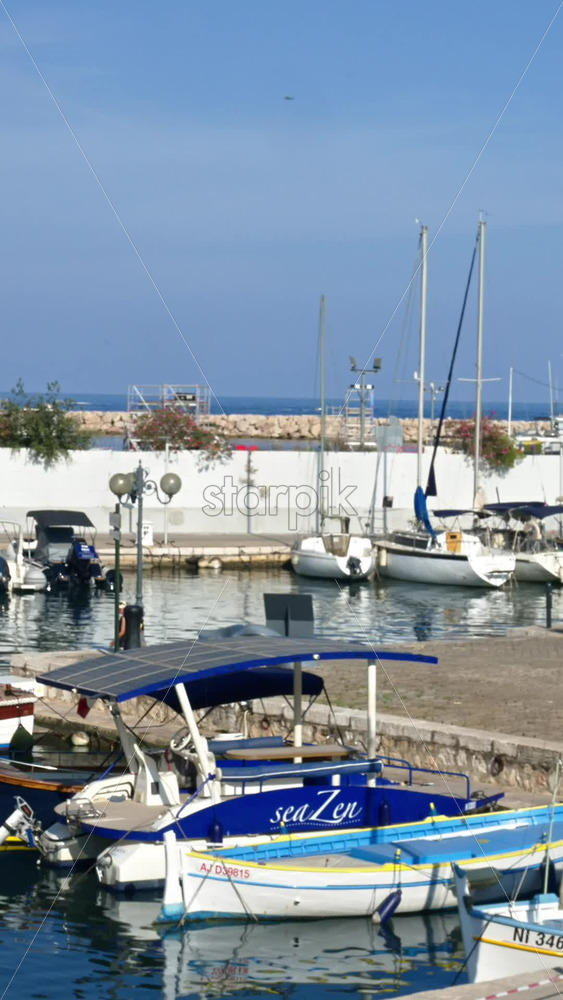 Video - Beaulieu-sur-Mer, France - June 28, 2024: View of white boats docked in the Beaulieu-sur-Mer harbour. Vertical