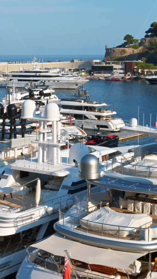 Video - View of white boats docked in the Monaco Marina with the skyline of the city on the background. Vertical