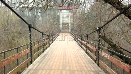 Video - Footbridge surrounded by empty trees in a forest