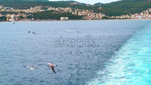 Video - Flying seagulls near the floating ferryboat. Land in the distance. Cloudy weather. Slow motion. Greece