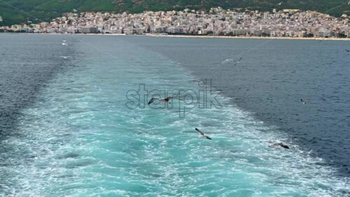 Video - Flying seagulls near the floating ferryboat. Land in the distance. Cloudy weather. Slow motion. Greece