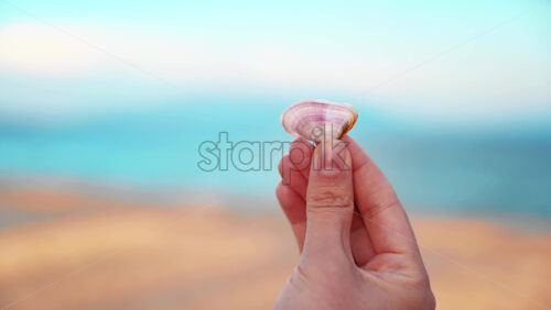 Video - Female hand holding a seashell with beach and Aegean sea on the background, Asprovalta, Greece