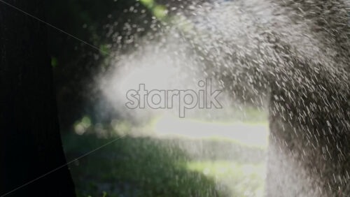 A garden sprinkler sprays water into the air, with sunlight reflecting off the droplets in a green park - Starpik Stock