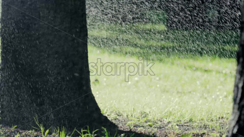 A garden sprinkler sprays water into the air, with sunlight reflecting off the droplets in a green park - Starpik Stock