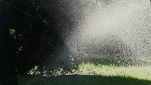A garden sprinkler sprays water into the air, with sunlight reflecting off the droplets in a green park - Starpik Stock