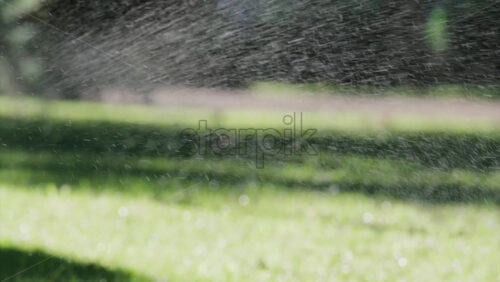A garden sprinkler sprays water into the air, with sunlight reflecting off the droplets in a green park - Starpik Stock