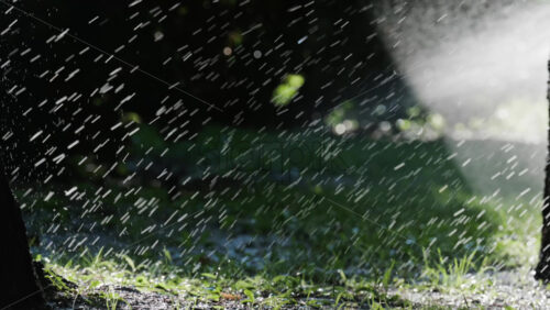 A garden sprinkler sprays water into the air, with sunlight reflecting off the droplets in a green park - Starpik Stock