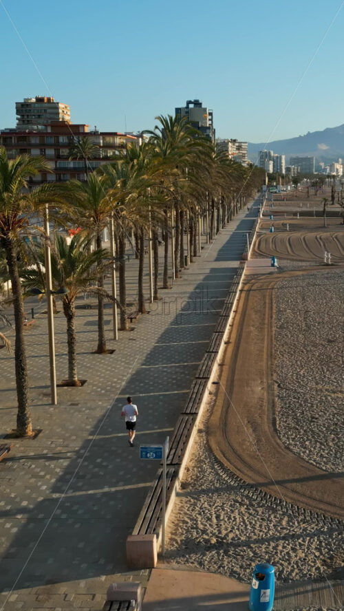 Aerial drone view of palm trees on a promenade near the beach and buildings along coastline of the city. Vertical - Starpik Stock