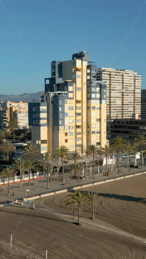 Aerial drone view of palm trees on a promenade near the beach and buildings along coastline of the city. Vertical, Alicante - Starpik Stock