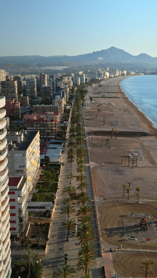 Aerial drone view of palm trees on a promenade near the beach and buildings along coastline of the city. Vertical, Alicante - Starpik Stock