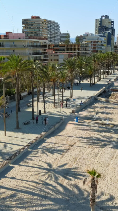 Aerial drone view of people walking on a promenade lined with palm trees near the beach in Alicante, Spain. Vertical - Starpik Stock