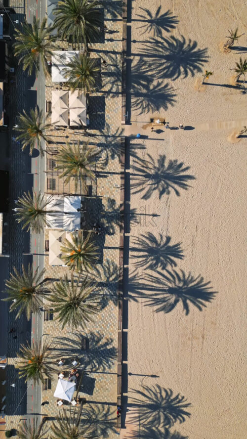 Aerial drone view of people walking on a promenade lined with palm trees near the beach in Alicante, Spain. Vertical - Starpik Stock