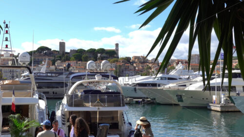Cannes, France – July 2, 2025: Multiple white boats docked in the Old Port of Cannes in daylight - Starpik Stock