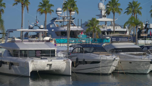 Cannes, France – June 22, 2025: Multiple boats docked in the Cannes harbour surrounded by palm trees in daylight - Starpik Stock